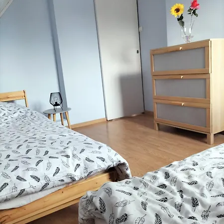 W Kamieniu 別荘 Kamień